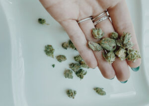 OH Medical Cannabis